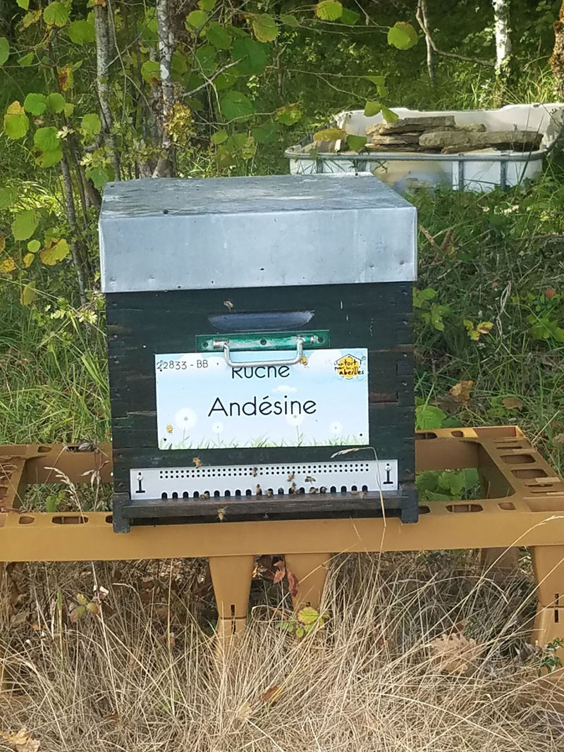 La ruche Andésine