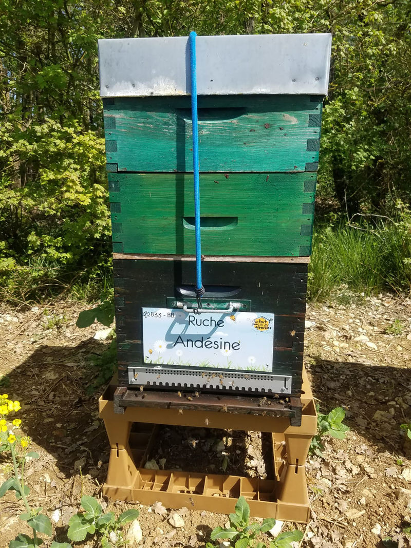 La ruche Andésine