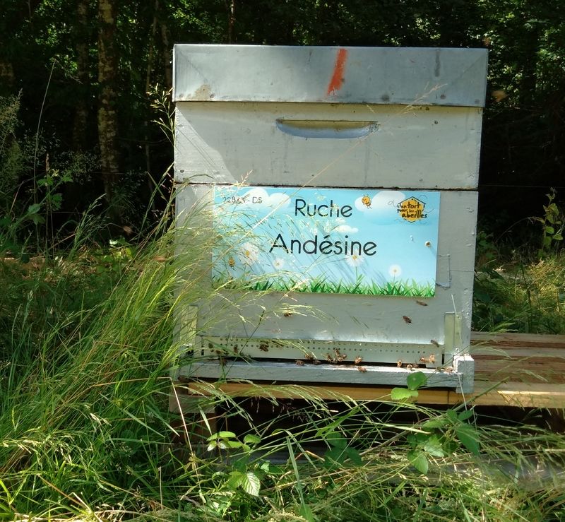 La ruche Andésine