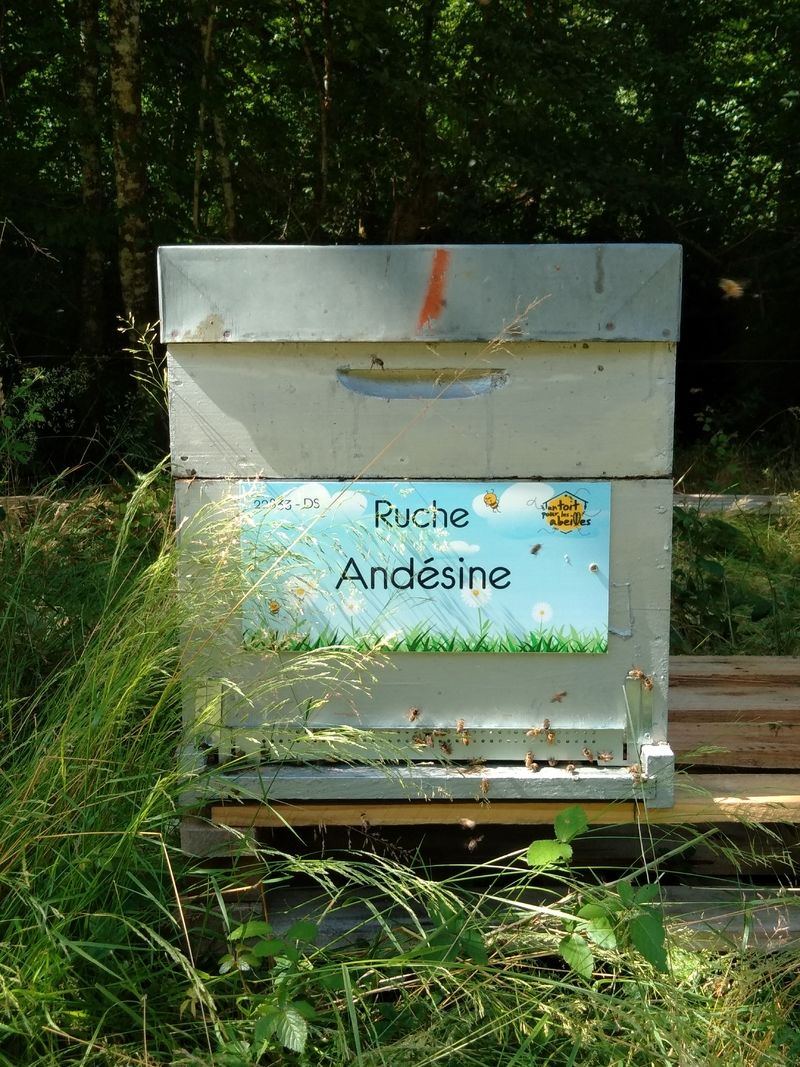 La ruche Andésine