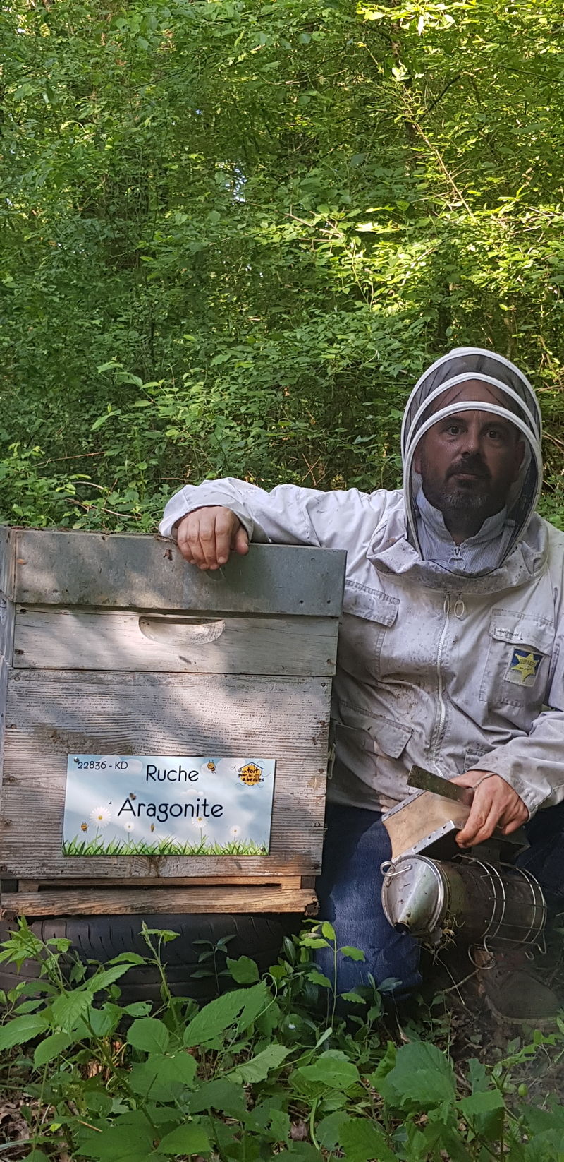 La ruche Aragonite