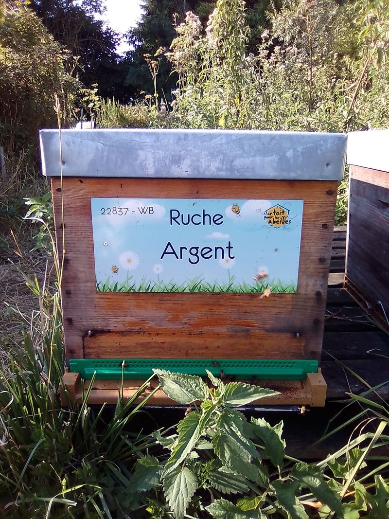 La ruche Argent