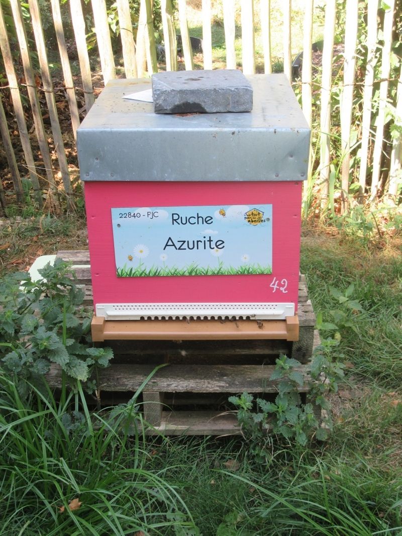 La ruche Azurite