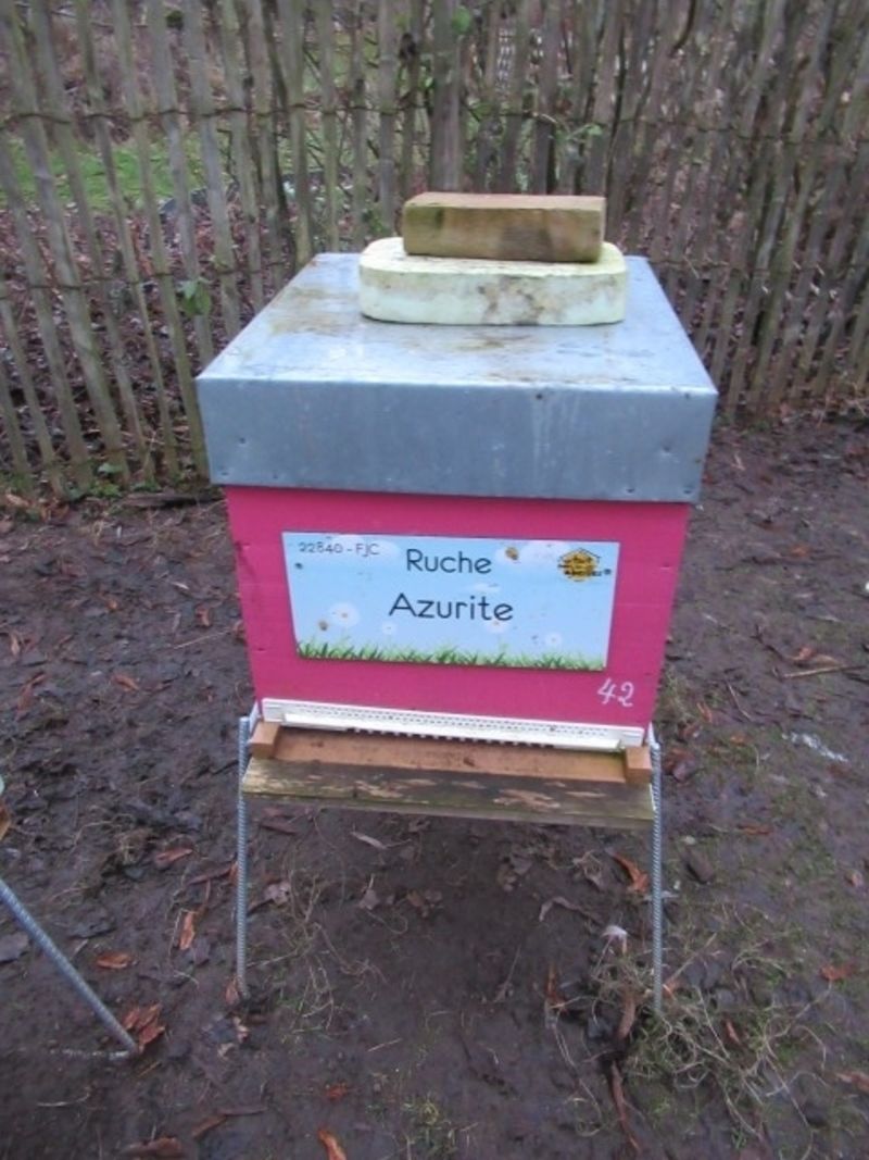 La ruche Azurite