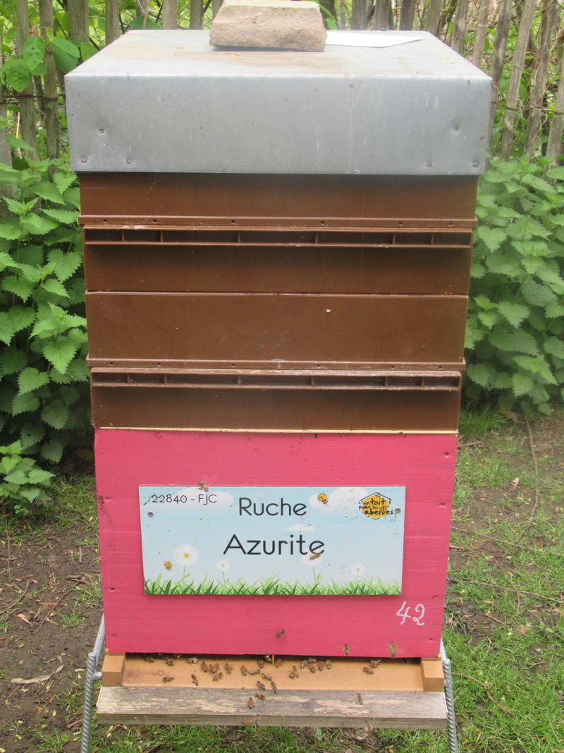 La ruche Azurite