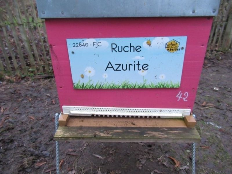 La ruche Azurite