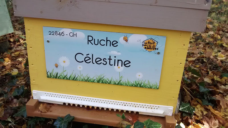 La ruche Célestine
