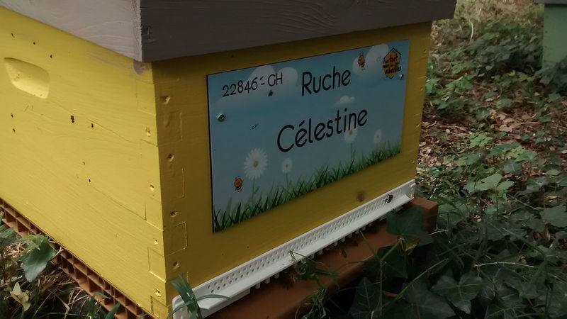 La ruche Célestine