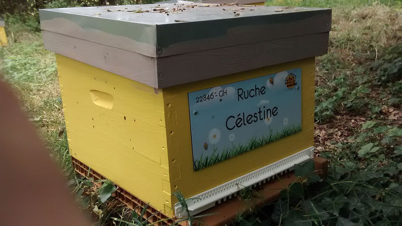 La ruche Célestine