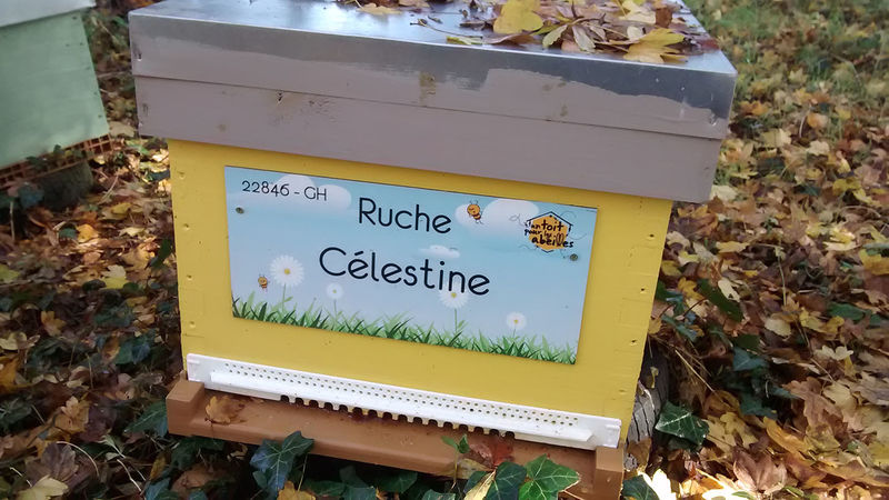 La ruche Célestine