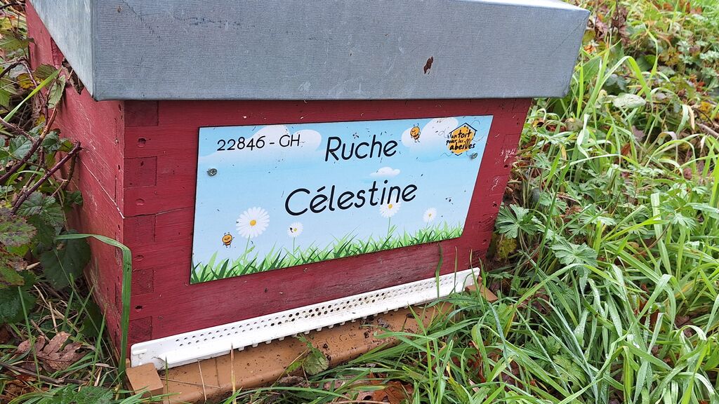 La ruche Célestine