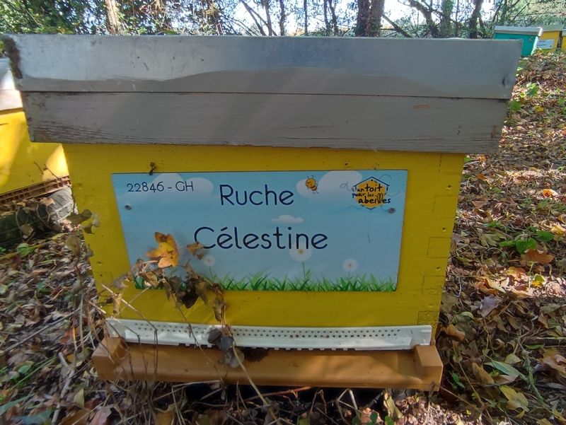 La ruche Célestine