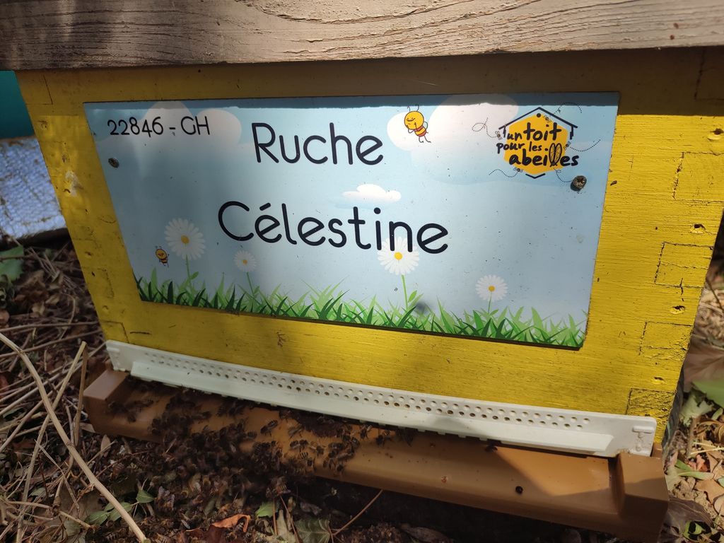 La ruche Célestine
