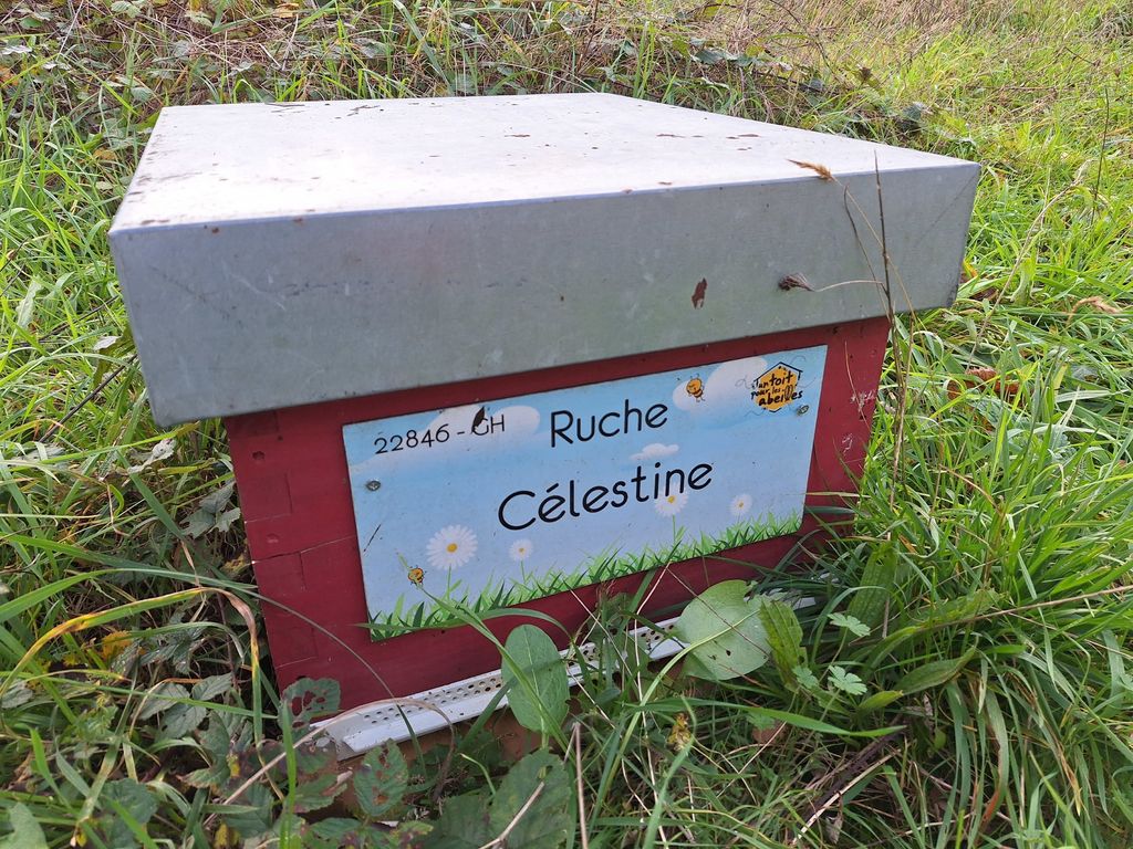 La ruche Célestine
