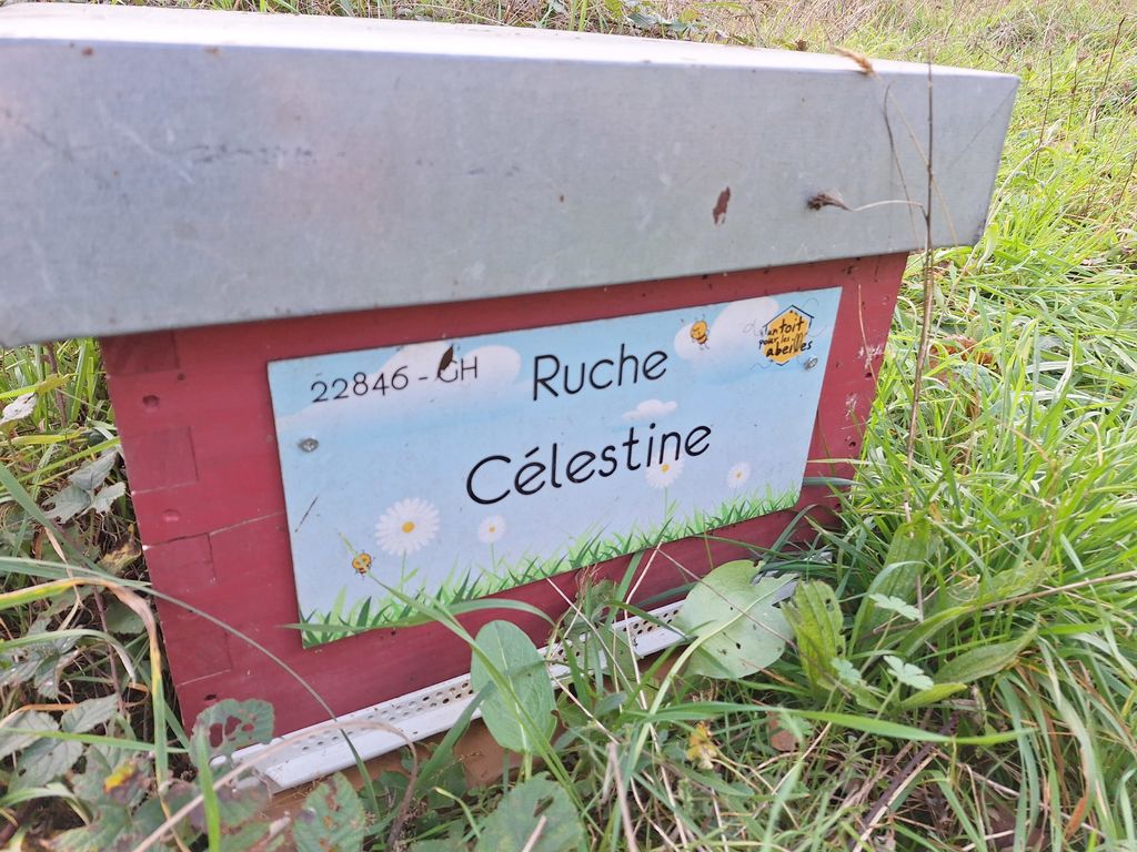 La ruche Célestine