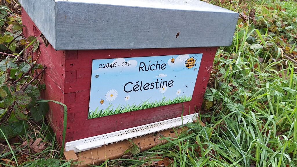 La ruche Célestine