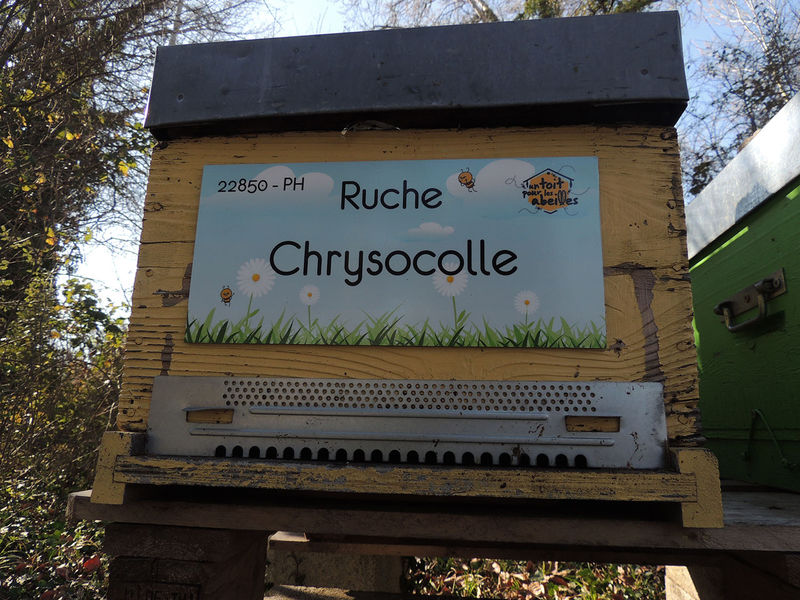 La ruche
