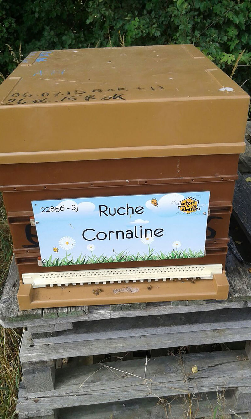 La ruche