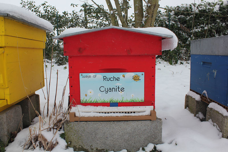 La ruche Cyanite