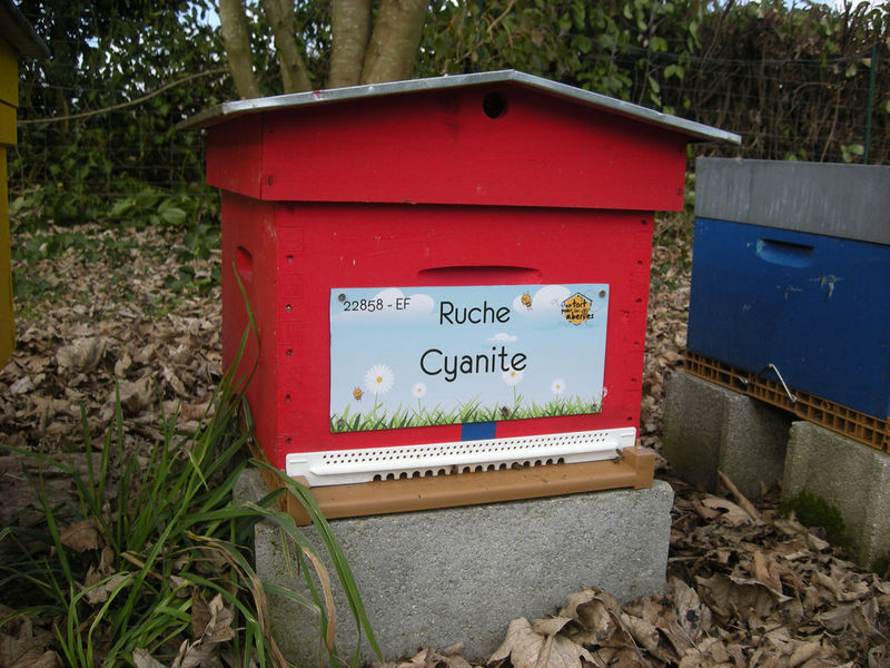 La ruche