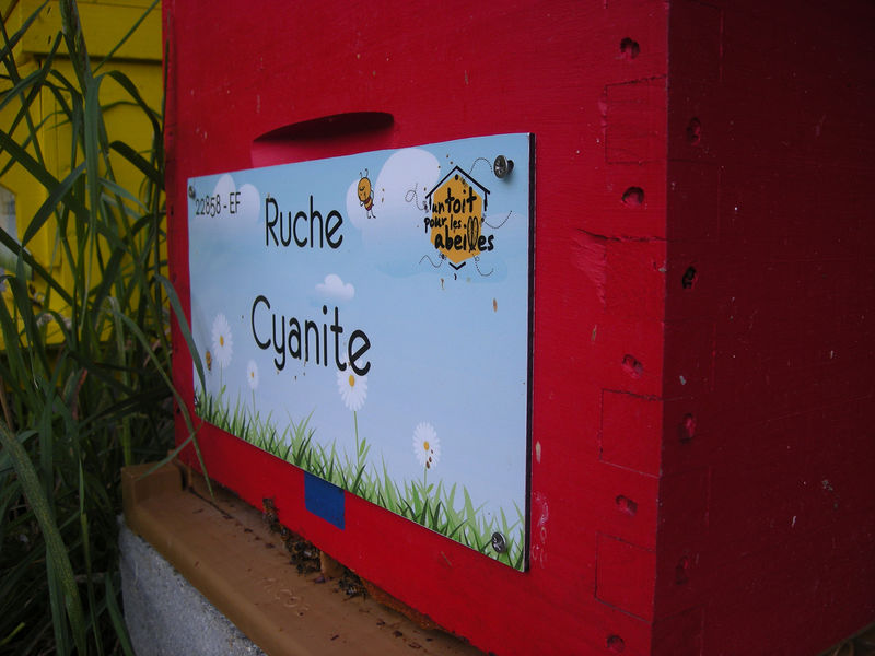 La ruche Cyanite