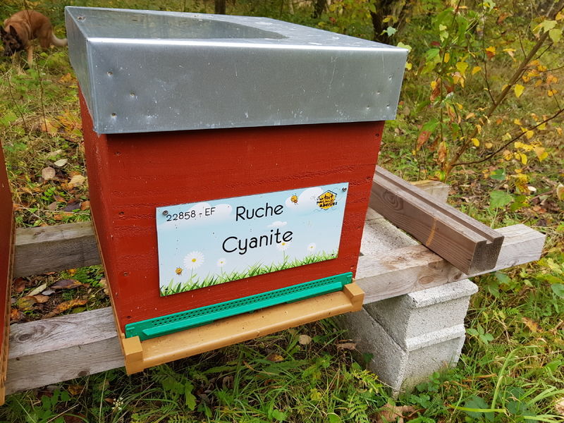 La ruche Cyanite