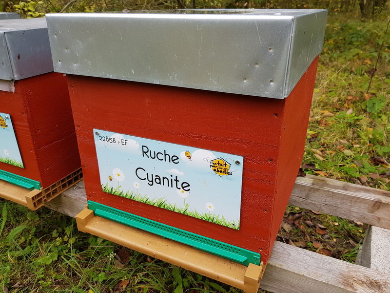 La ruche Cyanite