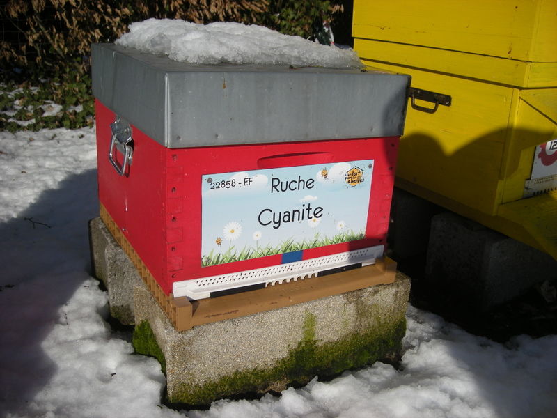 La ruche Cyanite