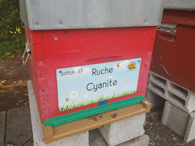 La ruche Cyanite