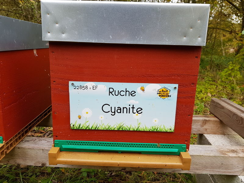 La ruche Cyanite