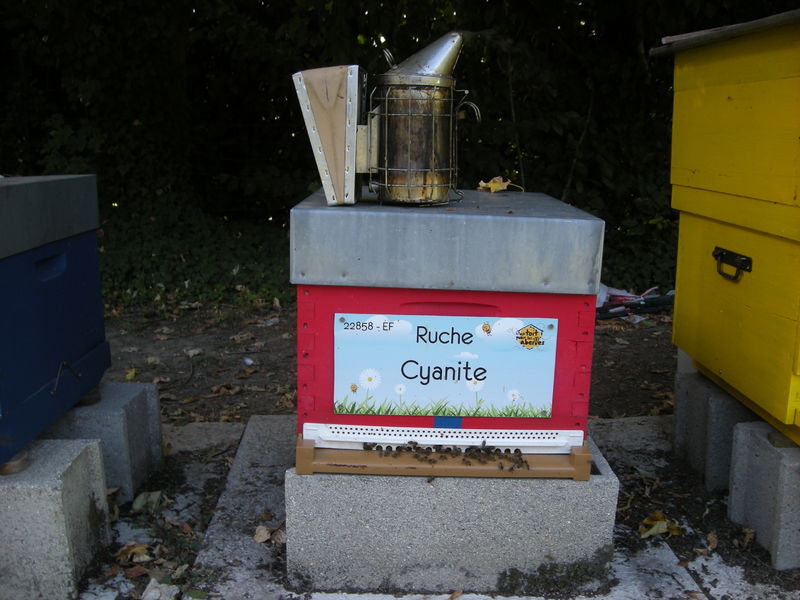 La ruche Cyanite