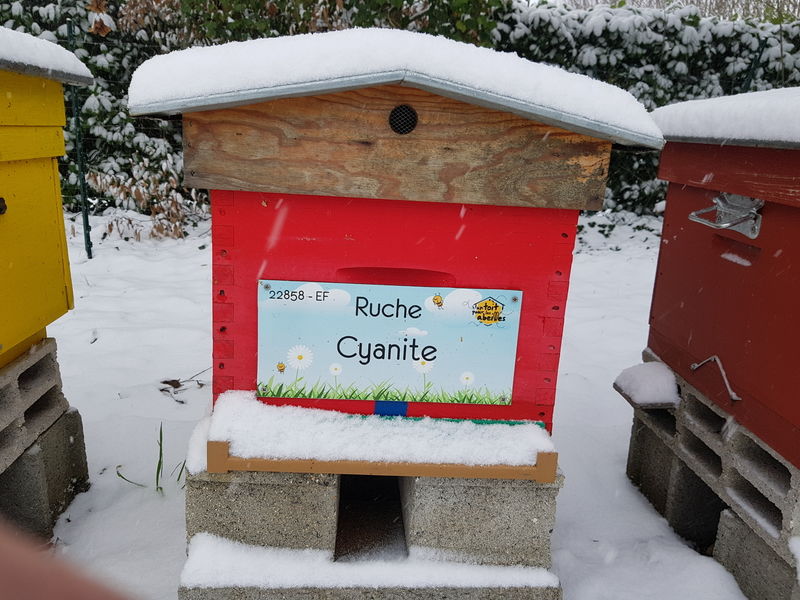 La ruche Cyanite