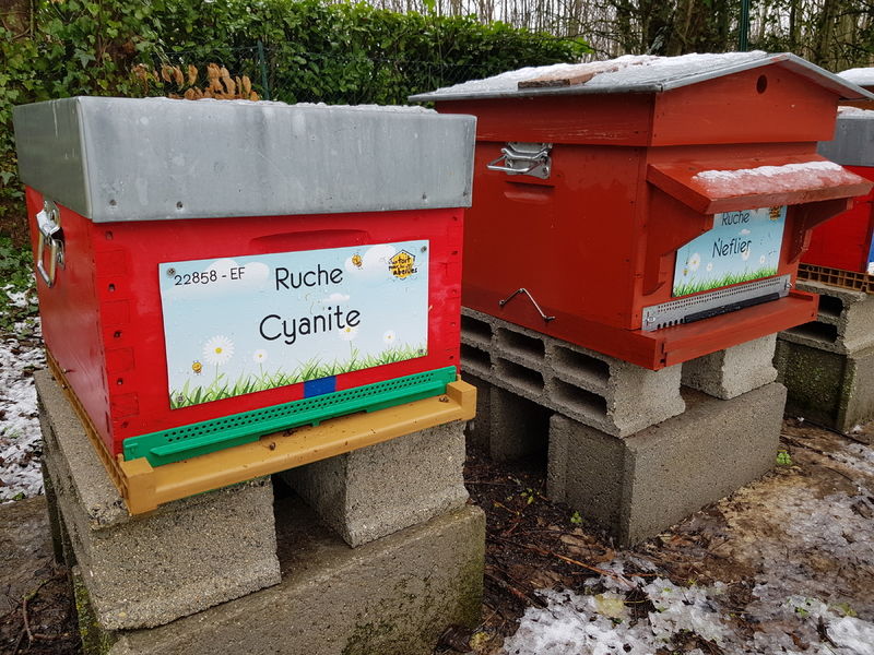 La ruche Cyanite
