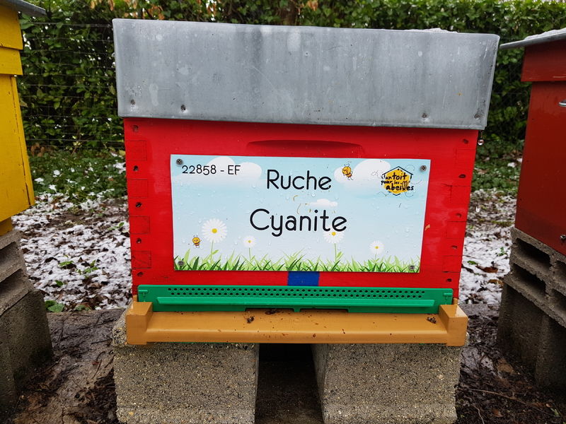 La ruche Cyanite