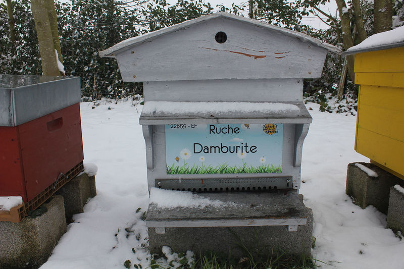 La ruche Damburite