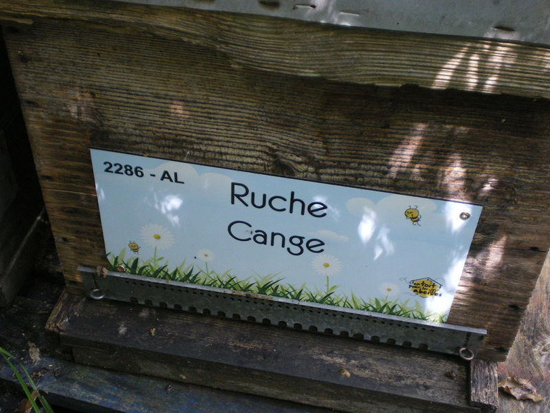 La ruche