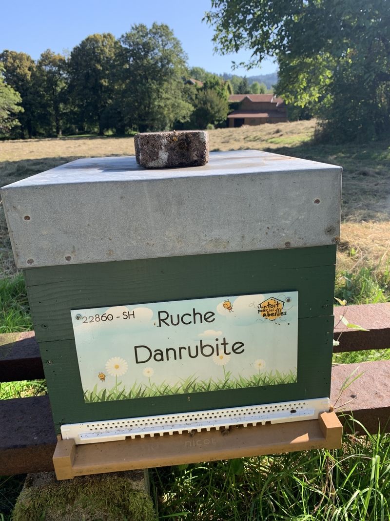 La ruche Danrubite