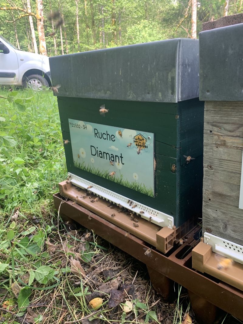La ruche Diamant