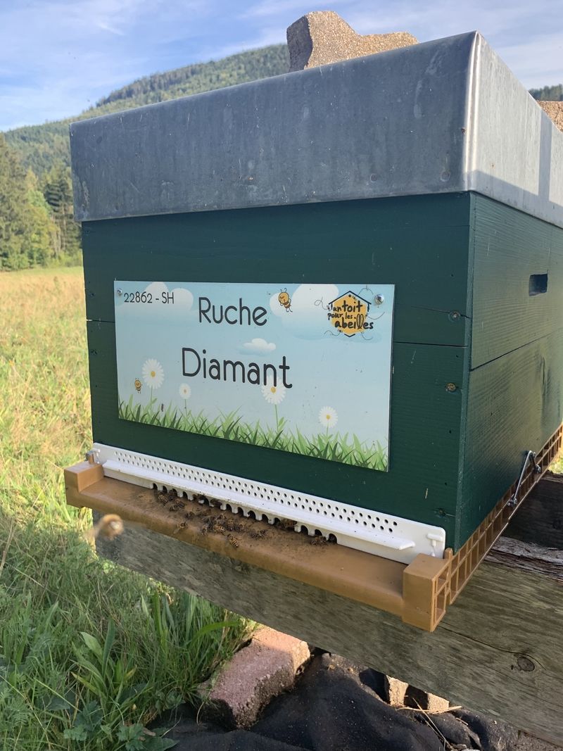 La ruche Diamant