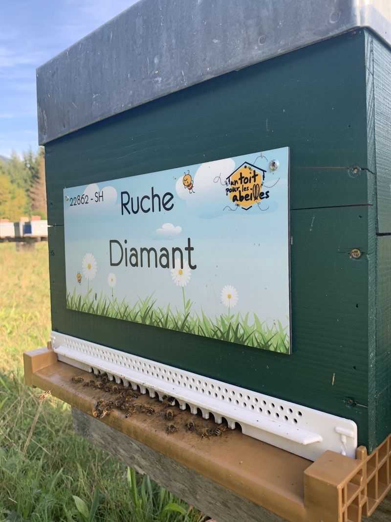 La ruche Diamant