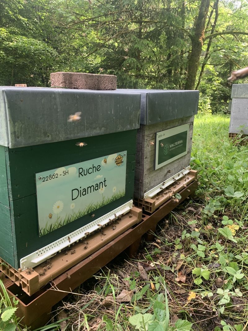 La ruche Diamant