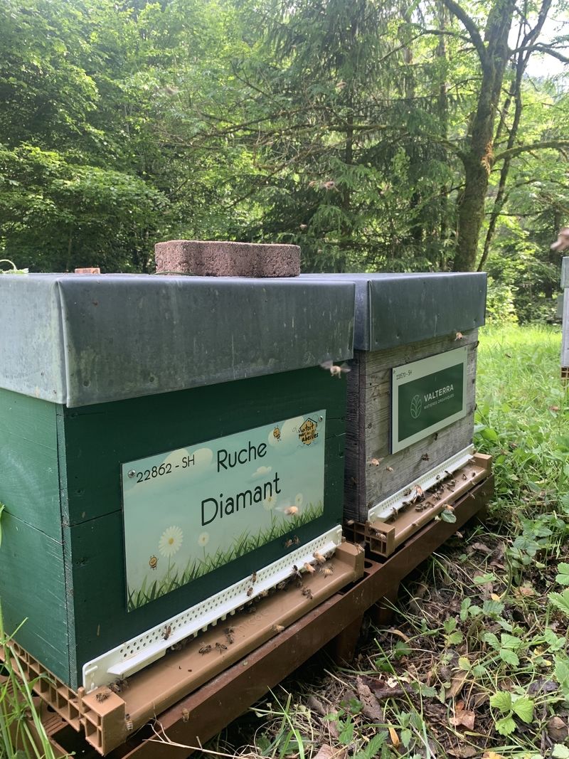 La ruche Diamant