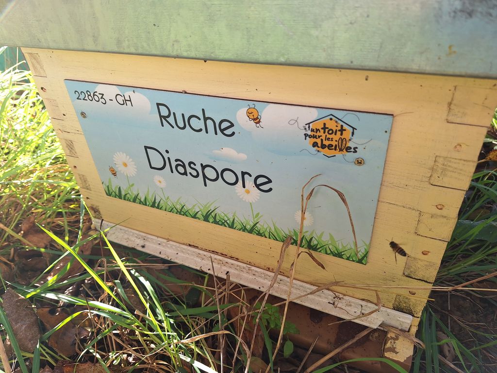 La ruche Diaspore