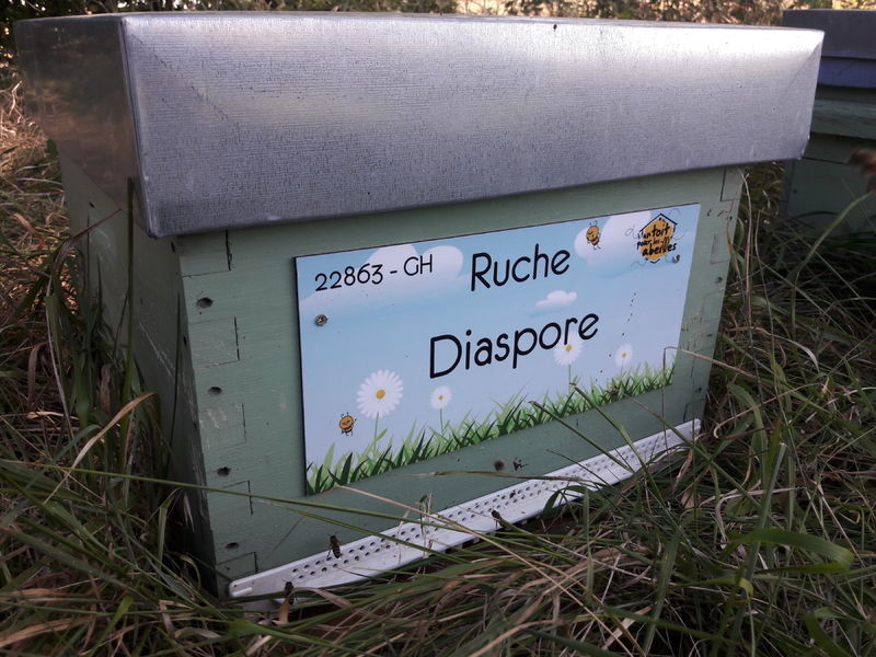 La ruche Diaspore