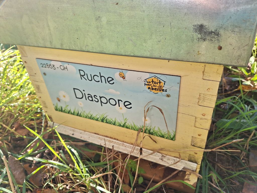La ruche Diaspore