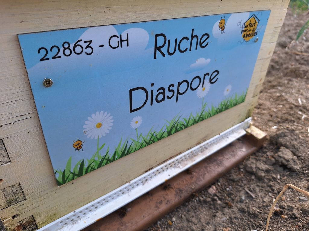 La ruche Diaspore