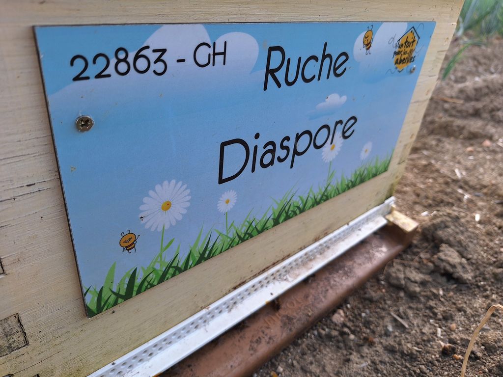 La ruche Diaspore