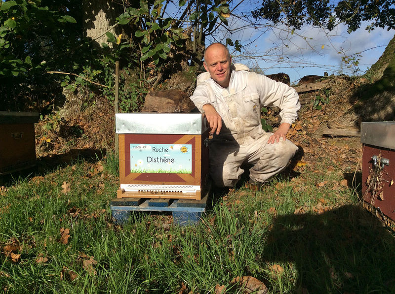 La ruche Disthène