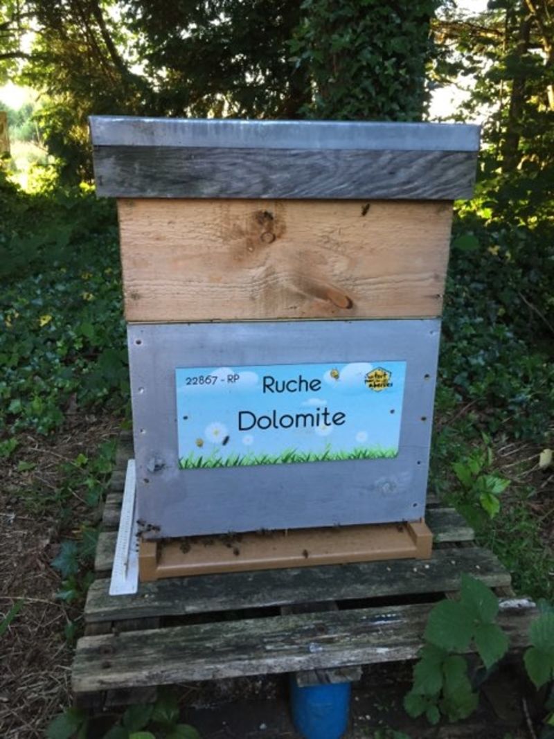 La ruche Dolomite