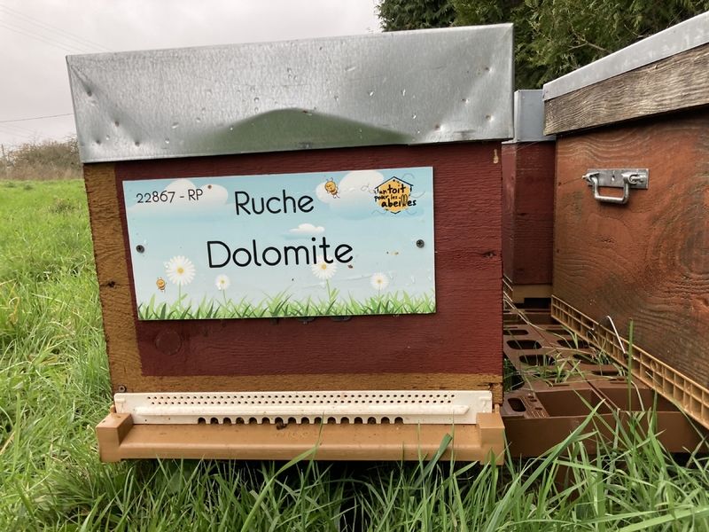 La ruche Dolomite